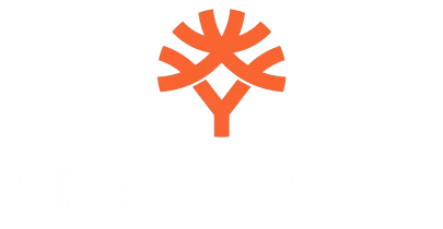 partners who work with 51Game